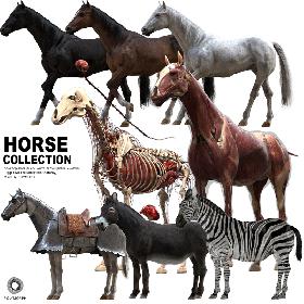 Horse Collection (Rigged) 3D model